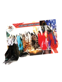 Decorativo Paquete de Plumas 42208