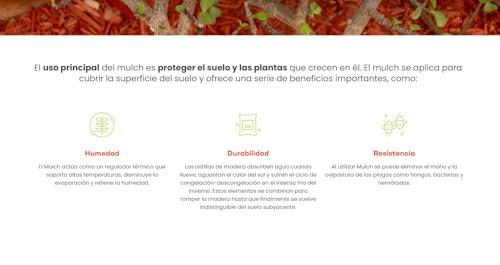Mulch Decorativo para Jardín – Protección y Estilo para tus Plantas