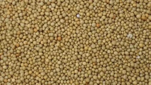 Osmocote 14-14-14 Premium – Fertilizante de Lenta Liberación (3 a 4 Meses) – Everris