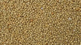 Osmocote 14-14-14 Premium – Fertilizante de Lenta Liberación (3 a 4 Meses) – Everris