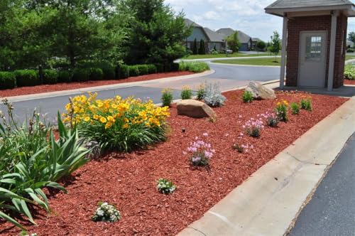 Mulch Decorativo para Jardín – Protección y Estilo para tus Plantas