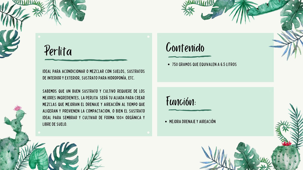 Perlita (Agrolita) Orgánica 6.5L Sustrato Multipropósito