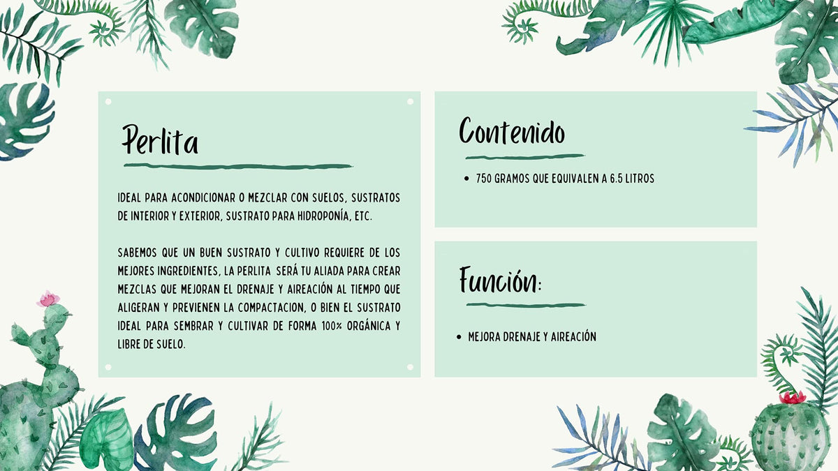 Perlita (Agrolita) Orgánica 6.5L Sustrato Multipropósito