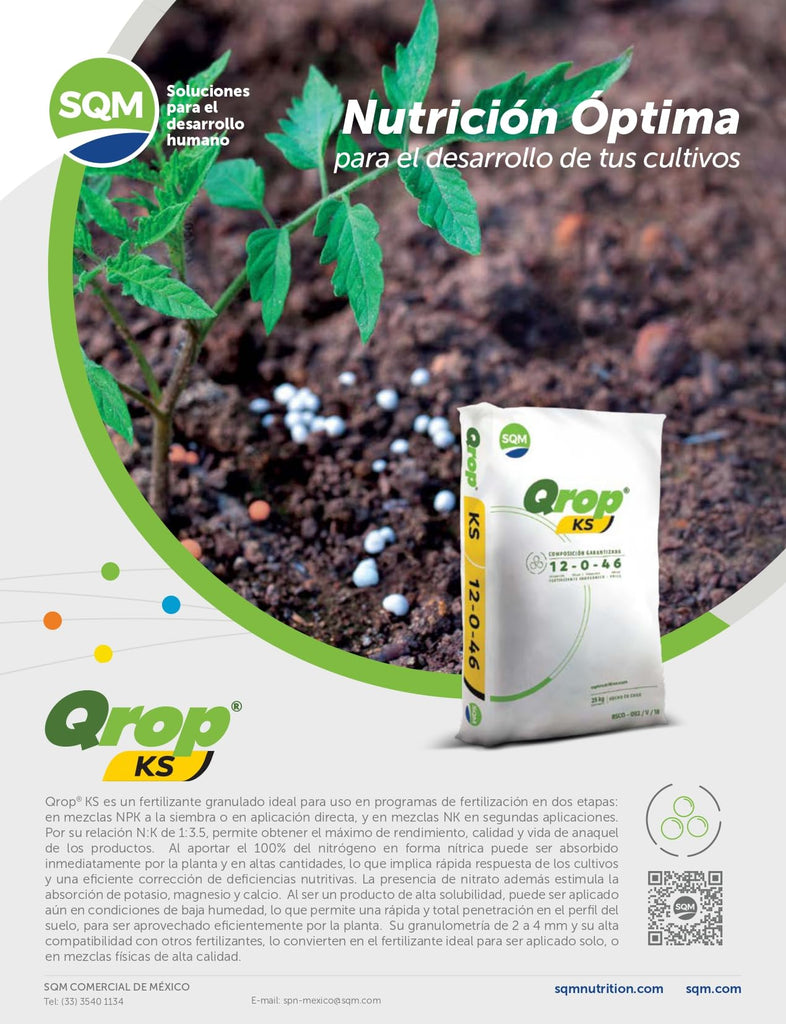 Qrop KS Granulado Mejor Conocido como Nitro-Phoska chileno, es una Fuente de potasio de rápida disponibilidad
