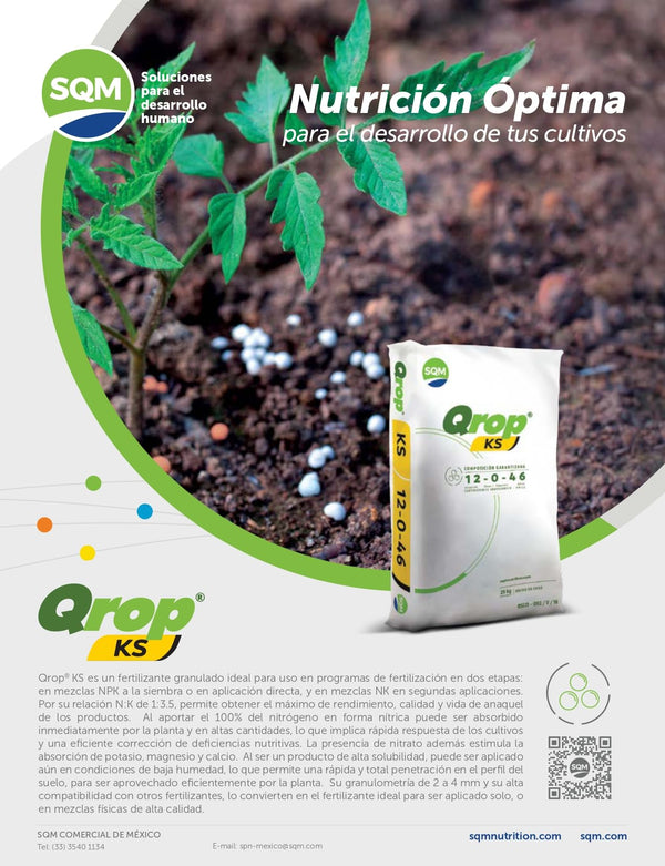 Qrop KS Granulado Mejor Conocido como Nitro-Phoska chileno, es una Fuente de potasio de rápida disponibilidad