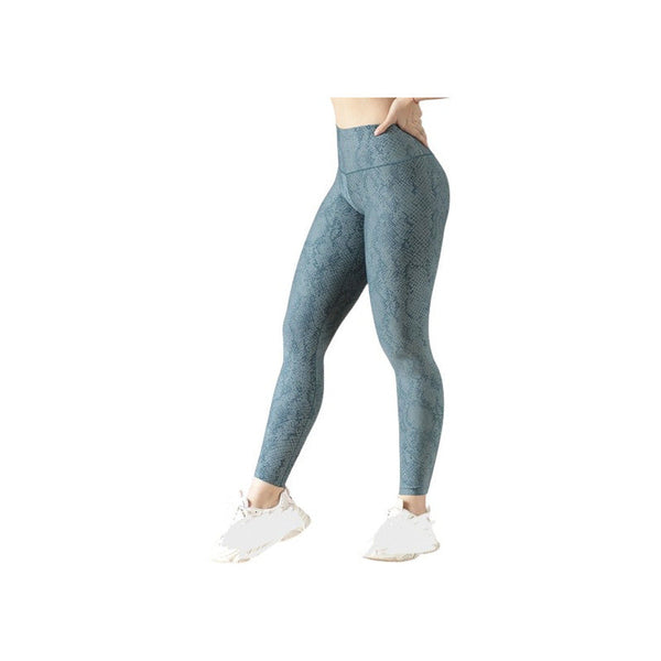 push-up-3203-animal