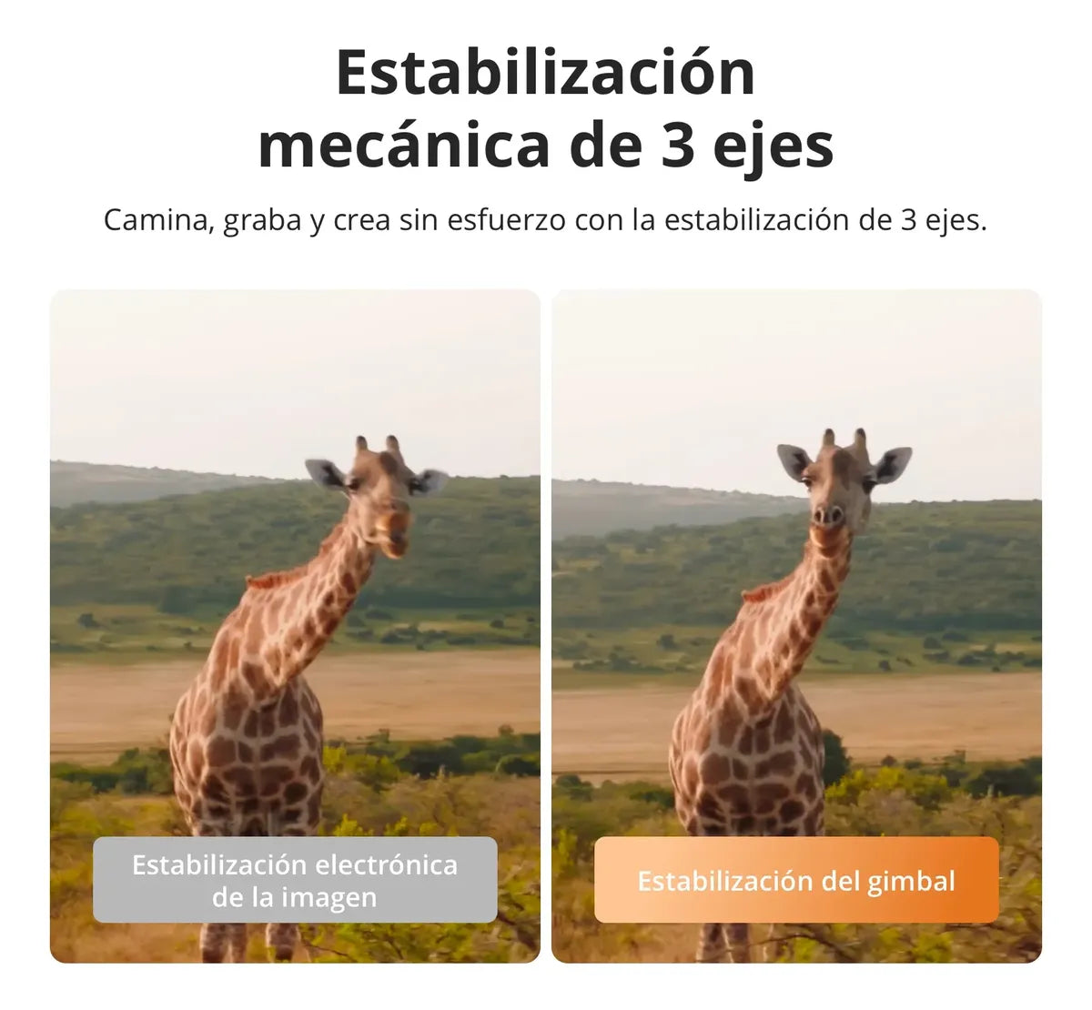 Dji Combo Creadores Osmo Pocket 4, Cámara Vlogs 4k, Cmos 1