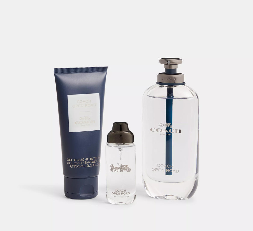 COACH OPEN ROAD EDT 100 ml
