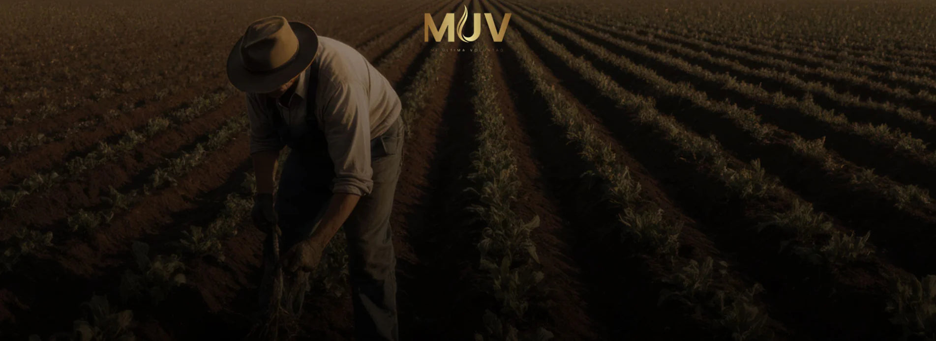 COMPROMETIDOS CON LA COMUNIDAD MIGRANTE