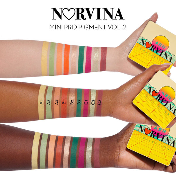 ANASTASIA BEVERLY HILLS NORVINA COLLECTION MINI PRO PIGMENT PALETTE VOL. 2