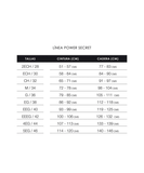 Faja Short con Cinturilla Realce Invisible Power Secret Mujer 1107 de Ann Chery®
