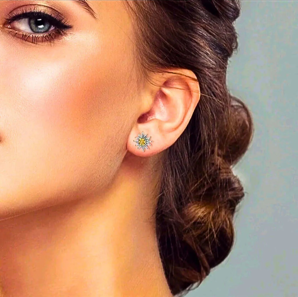 Aretes S925 Ley 