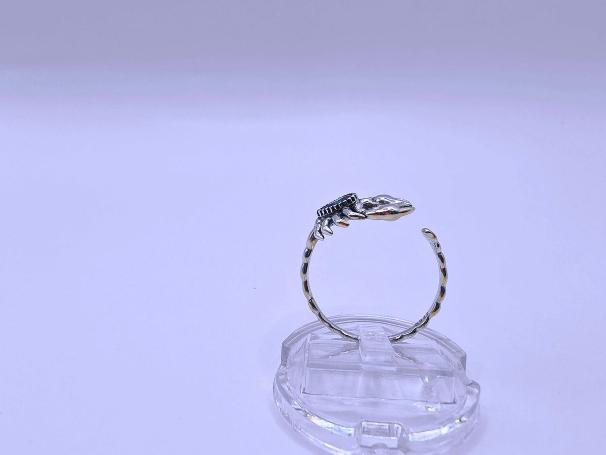 Anillo S925 Ley 