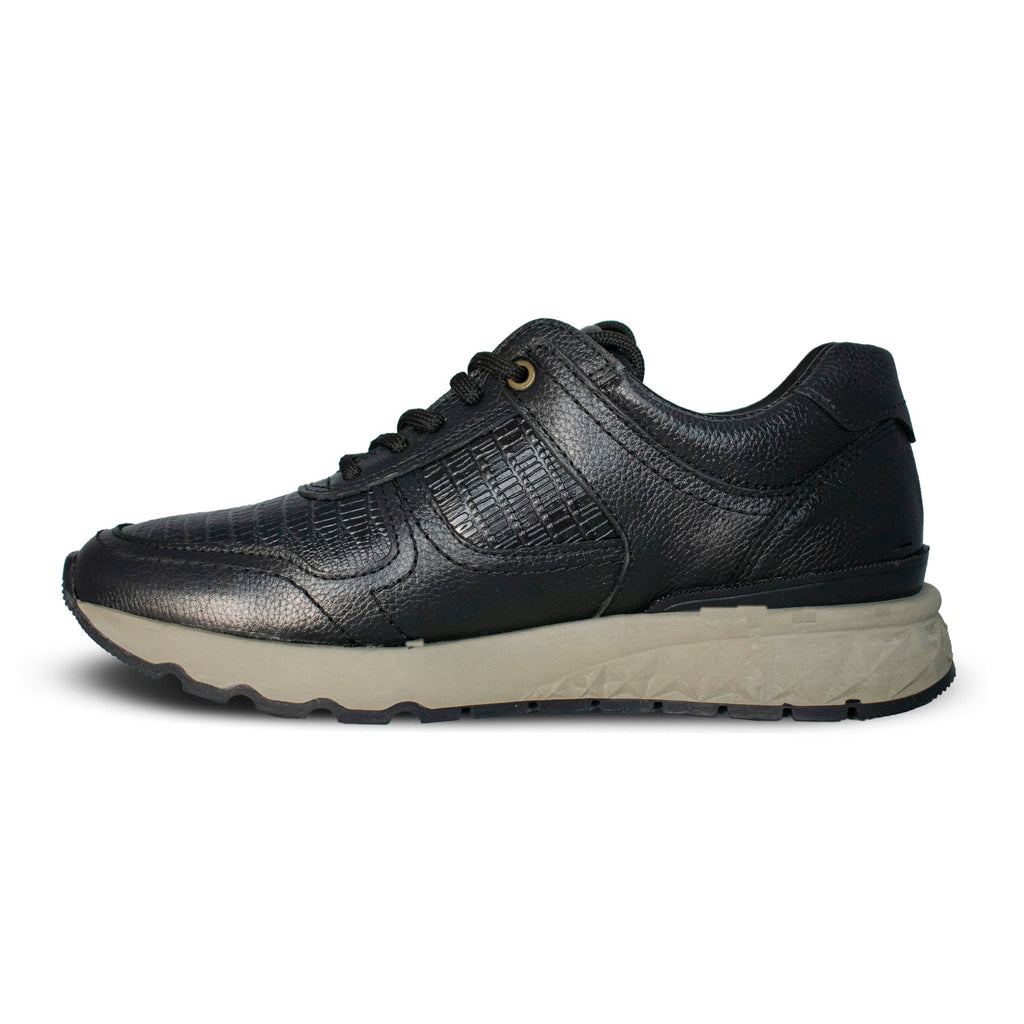 Sneakers Carlo Lizard / Negro 3079