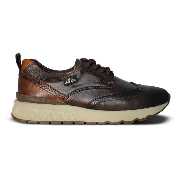 Sneakers Carlo Brogue Café 2987