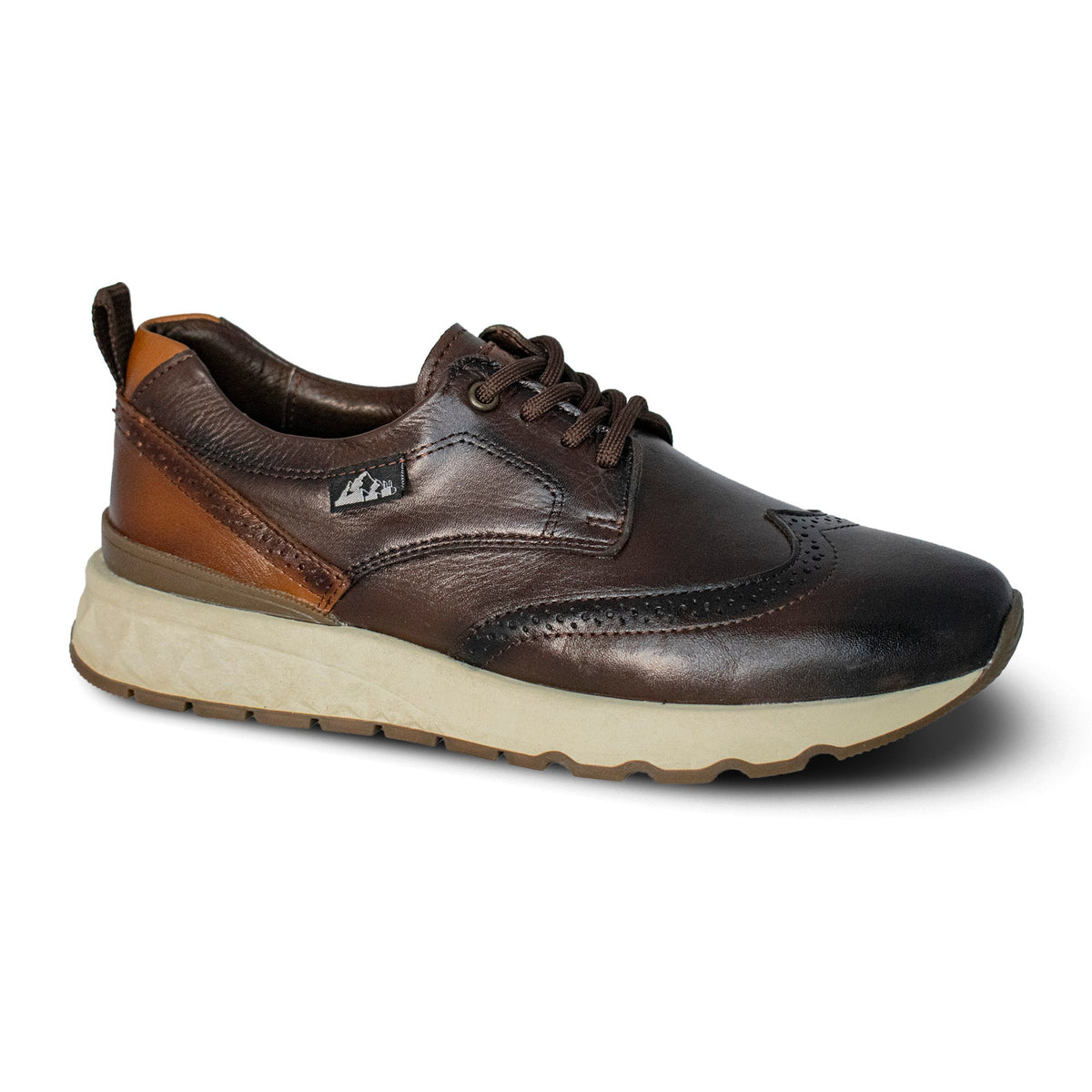 Sneakers Carlo Brogue Café 2987