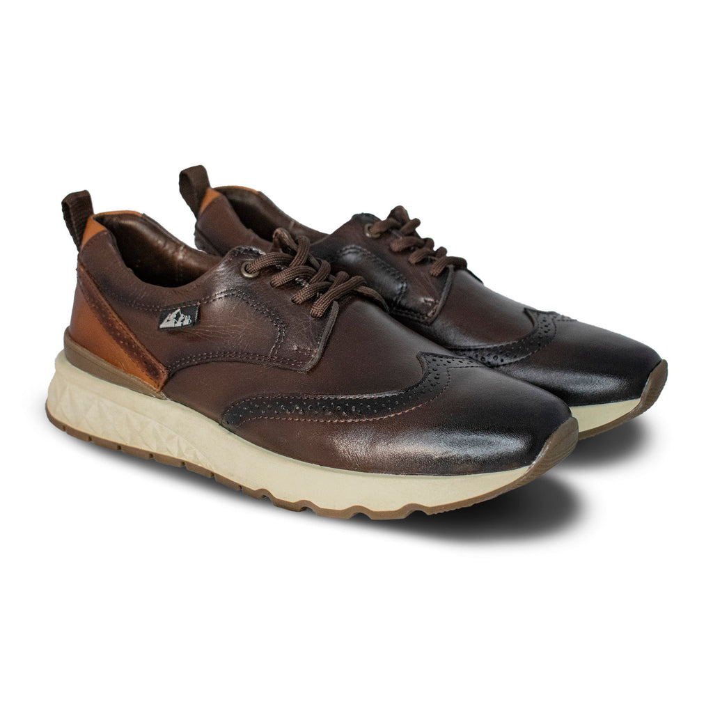 Sneakers Carlo Brogue Café 2987