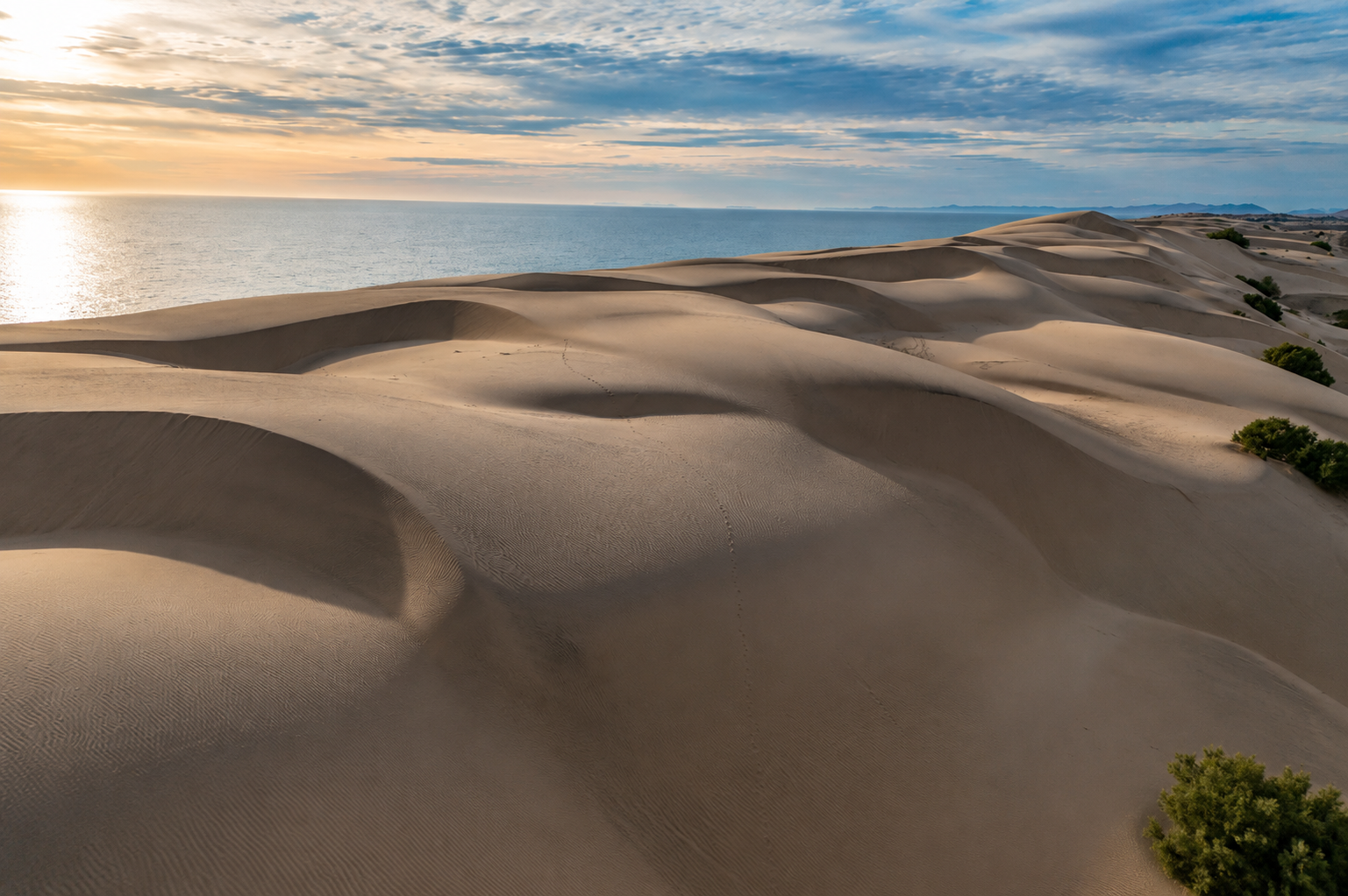 Altarena - Master Plan Desierto