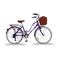 Vintage Urban Bike Aluminium R24 7v Loving Monk