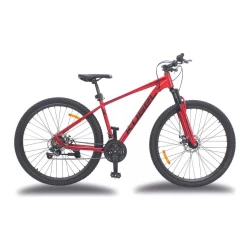 Mountain bike R29 21 V Kugel H-Hybrid