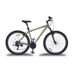 Mountain bike R29 21V Kugel Messer