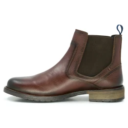 3259 Media Bota Libano Cognac